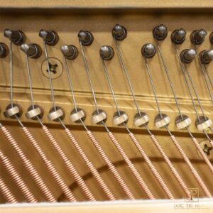 Đàn Yamaha UX50BL - Chốt pin và dây bass