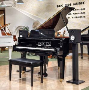 Yamaha DGB1K disklavier enpro