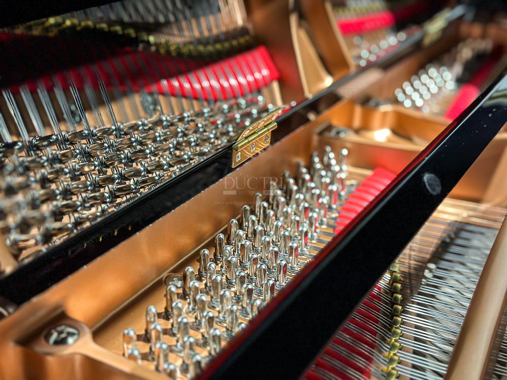 Yamaha GC2 14 Soundboard đàn Yamaha GC2