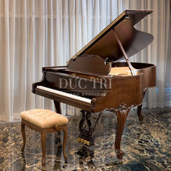 Hình ảnh góc nghiêng trên đàn Steinway LouisXV