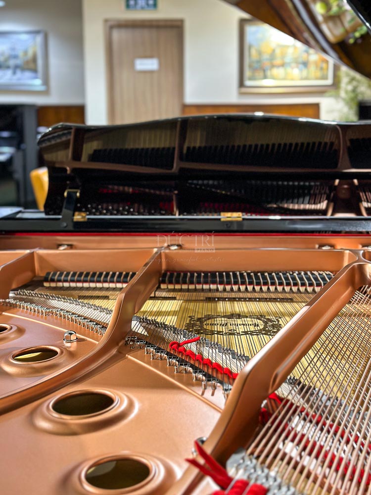 Yamaha GC2 12 Yamaha GC2 sở hưu bộ máy đàn linh hoạt