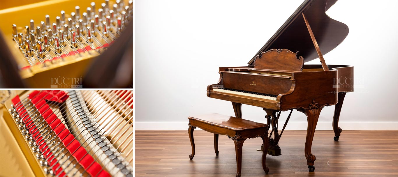 Steinway & Sons Louis XV Piano Đức Trí