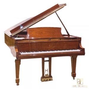 Đàn Piano Steinway & Sons B211 2001 - Ảnh demo