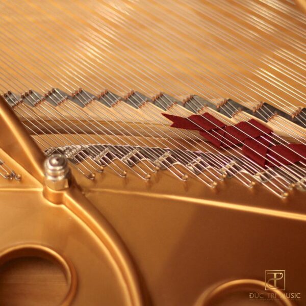 Đàn Piano Steinway & Sons Louis XV Model M - Các chốt giữ dây