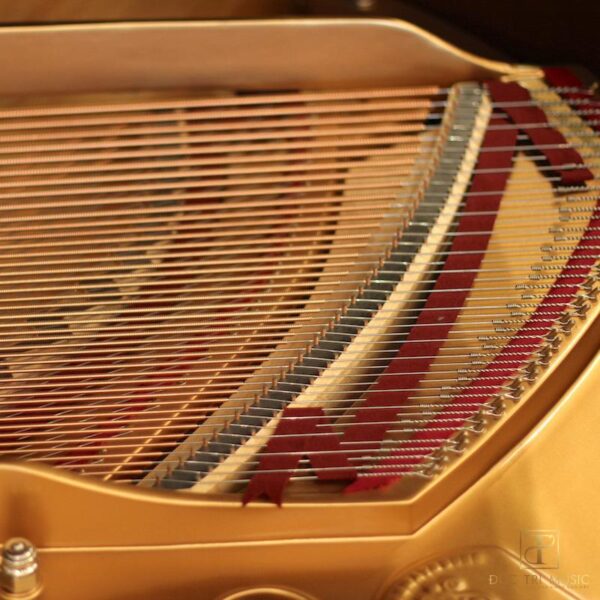Đàn Piano Steinway & Sons Louis XV Model M - Dây Bass