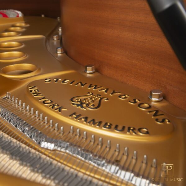 Đàn Piano Steinway & Sons M 170 - Thương hiệu Steinway trên khung đàn