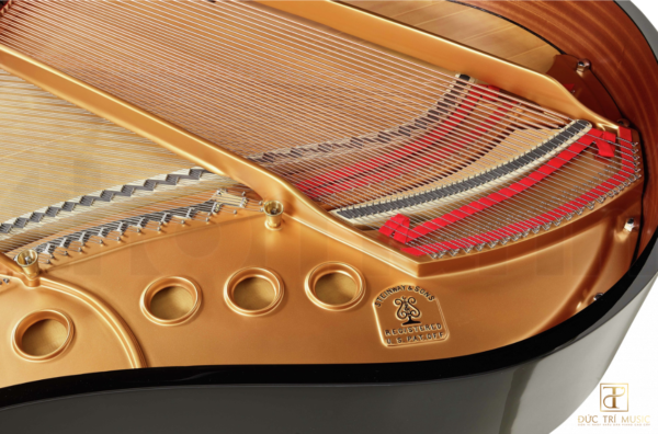 Đàn Piano Steinway & Sons M 170 - Phần dây bass