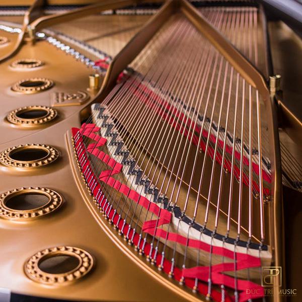 Đàn Piano Steinway & Sons Model D - Dây đàn