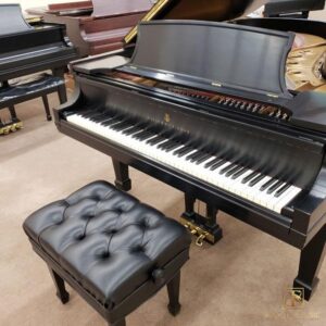Đàn Piano Steinway & Sons Model B - Phím đàn