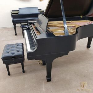Đàn Piano Steinway & Sons Model B - Phần phím phải