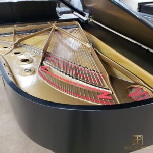 Đàn Piano Steinway & Sons Model B - Dây đàn