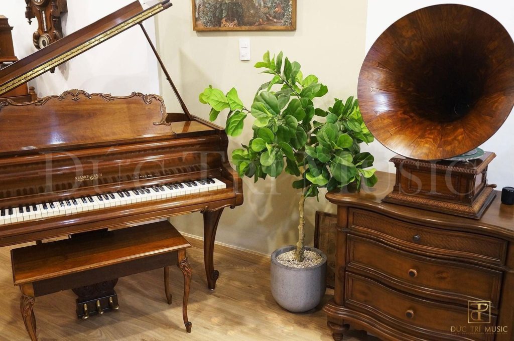 Đàn Grand Piano Kranich & Bach Louis XV - Ảnh 4