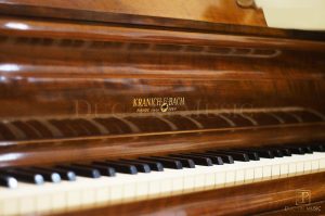 Đàn Grand Piano Kranich & Bach Louis XV - Ảnh 5