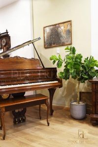 Đàn Grand Piano Kranich & Bach Louis XV - Ảnh 6