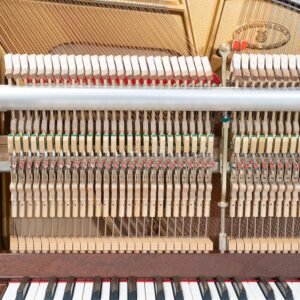 Búa đàn Steinway & Sons K-132 Crown Jewel Bubinga