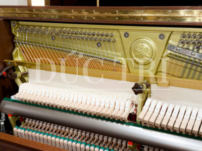 Búa và dây đàn piano Yamaha U3 WN