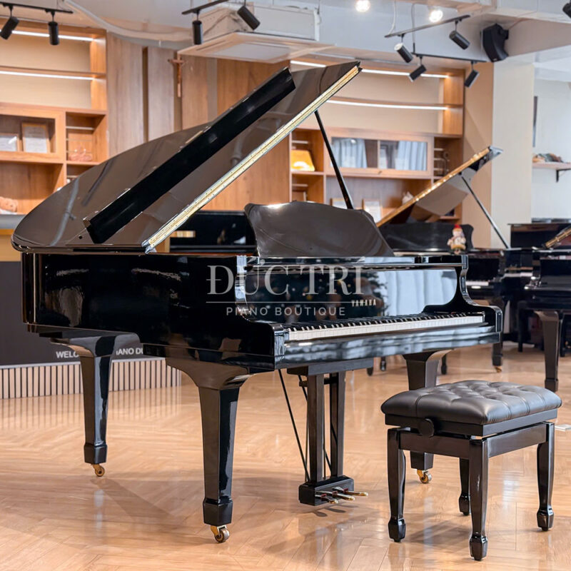 Grand Piano Yamaha C1L Đức Trí