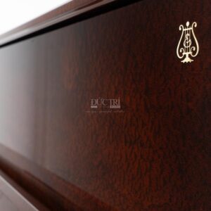 Logo nắp đàn Steinway & Sons K-132 Crown Jewel Bubinga