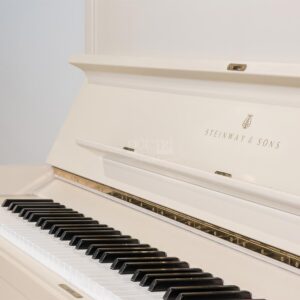 Phím đàn Piano Steinway K132 WH