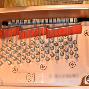 Số seri Yamaha C1L