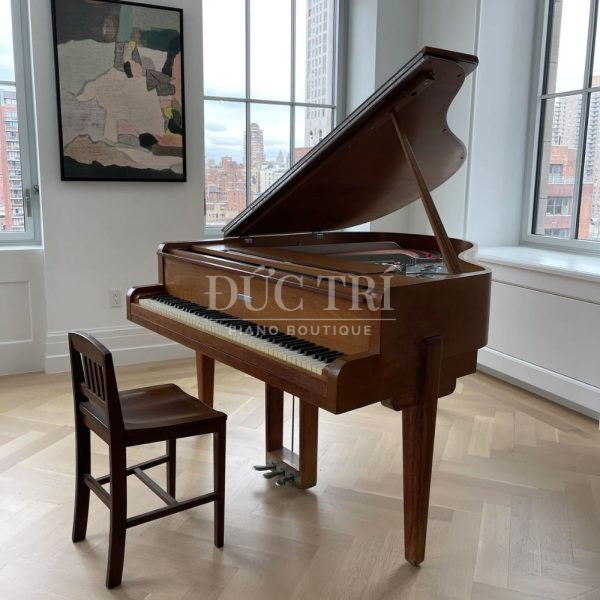 Steinway S-160 Walter Teague
