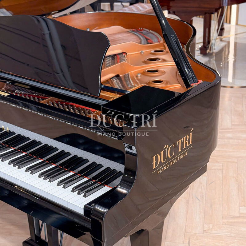 Yamaha C1L Đức Trí piano boutique