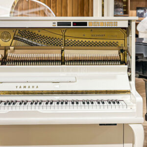 Đàn Piano Yamaha MX200MR tự động chơi tại Đức Trí Music