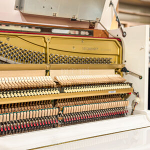 Đàn Piano Yamaha MX200MR tự động chơi tại Đức Trí Music