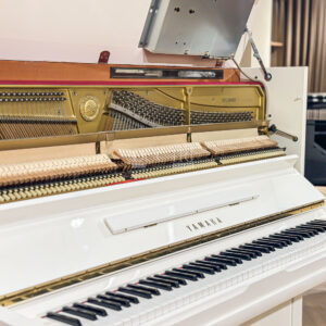 Đàn Piano Yamaha MX200MR tự động chơi tại Đức Trí Music