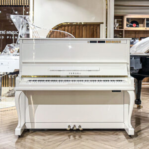 Đàn Piano Yamaha MX200MR tự động chơi tại Đức Trí Music