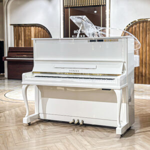 Đàn Piano Yamaha MX200MR tự động chơi tại Đức Trí Music