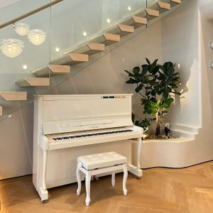 Yamaha MX200MR và ghế đàn