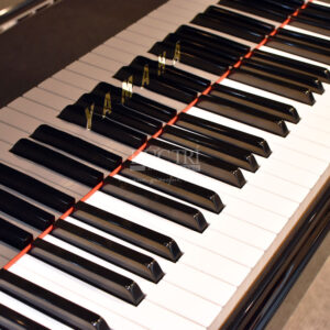 bàn phím Yamaha C1L