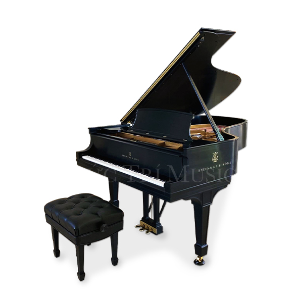 Đàn Piano Steinway & Sons Model B PE - Hình 1