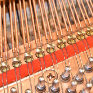 dây đàn Yamaha C1L