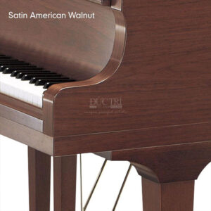 Màu Satin American Walnut