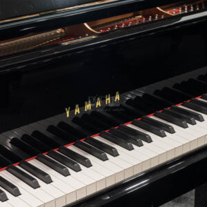 Phím đàn piano Yamaha C1 PE