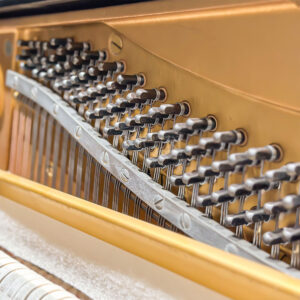 Chốt lên dây đàn piano Yamaha U3E