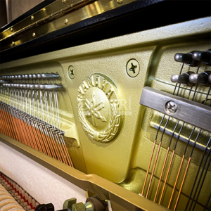 DÂY ĐÀN YAMAHA YUS3