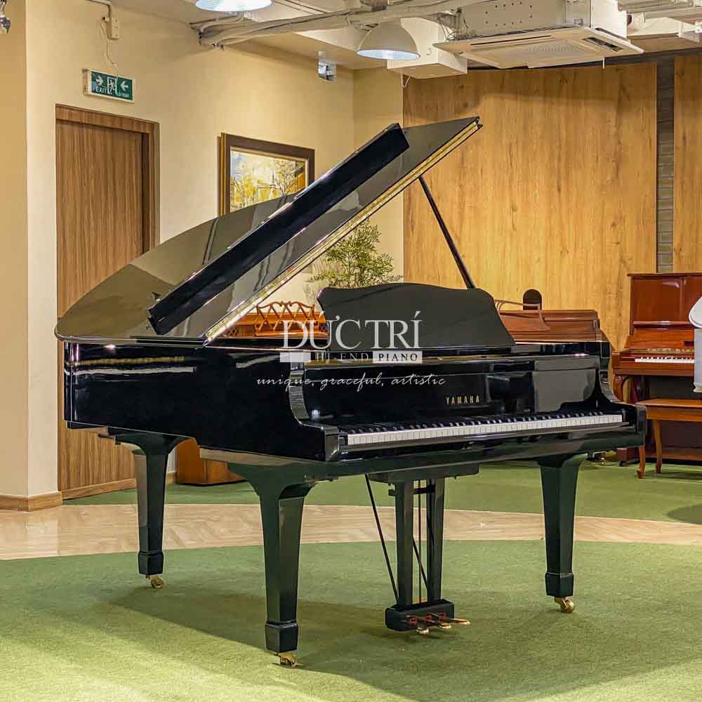 Bán Đàn Piano Yamaha C3 Chính Hãng Giá Tốt Nhất