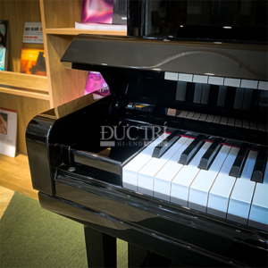 FALLBOARD YAMAHA YUS ĐÓNG CHẬM