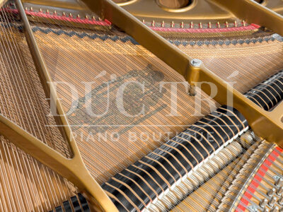 Grand Piano Kimball Louis XV tại Đức Trí Piano Boutique