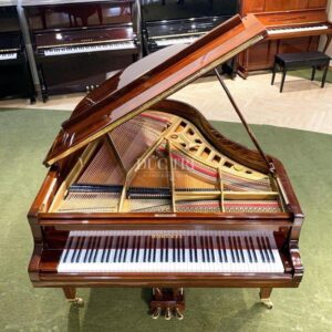 Toàn bộ nội thất và bộ máy của đàn Horugel G3A Mascasa Grand