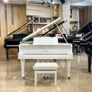Yamaha G2 được trưng bày tại Showroom của Piano Đức Trí