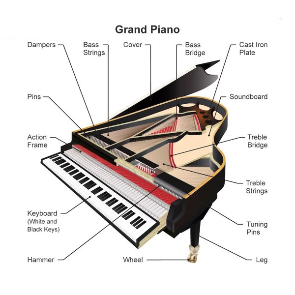 piano grand là gì