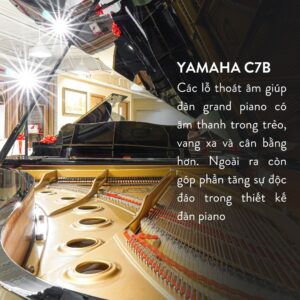 Grand Piano Yamaha C7B Cao Cấp tại Đức Trí Music