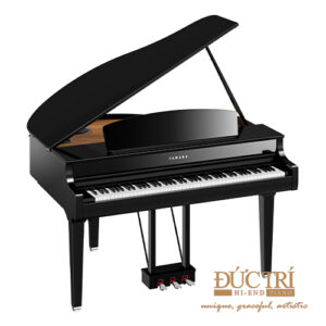 CLP-795GP PE màu đen