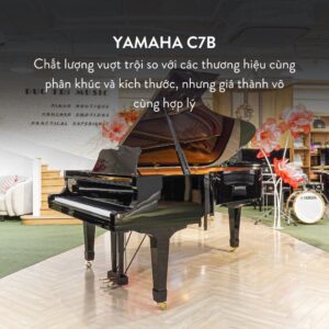 Grand Piano Yamaha C7B Cao Cấp tại Đức Trí Music