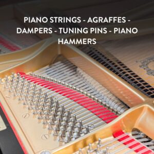 Grand Piano Yamaha C7B Cao Cấp tại Đức Trí Music