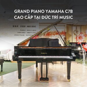 Grand Piano Yamaha C7B Cao Cấp tại Đức Trí Music